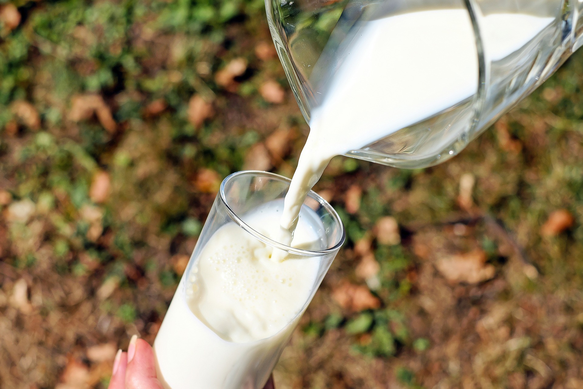 a2 Milk Company Recalls Three Batches of Infant Formula Over Toxin Contamination